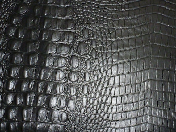 Closeout Old Shade Alligator 5