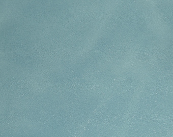 May include: A close-up of a light blue leather texture. The leather has a subtle, grainy appearance.