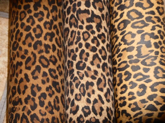Leopard 8