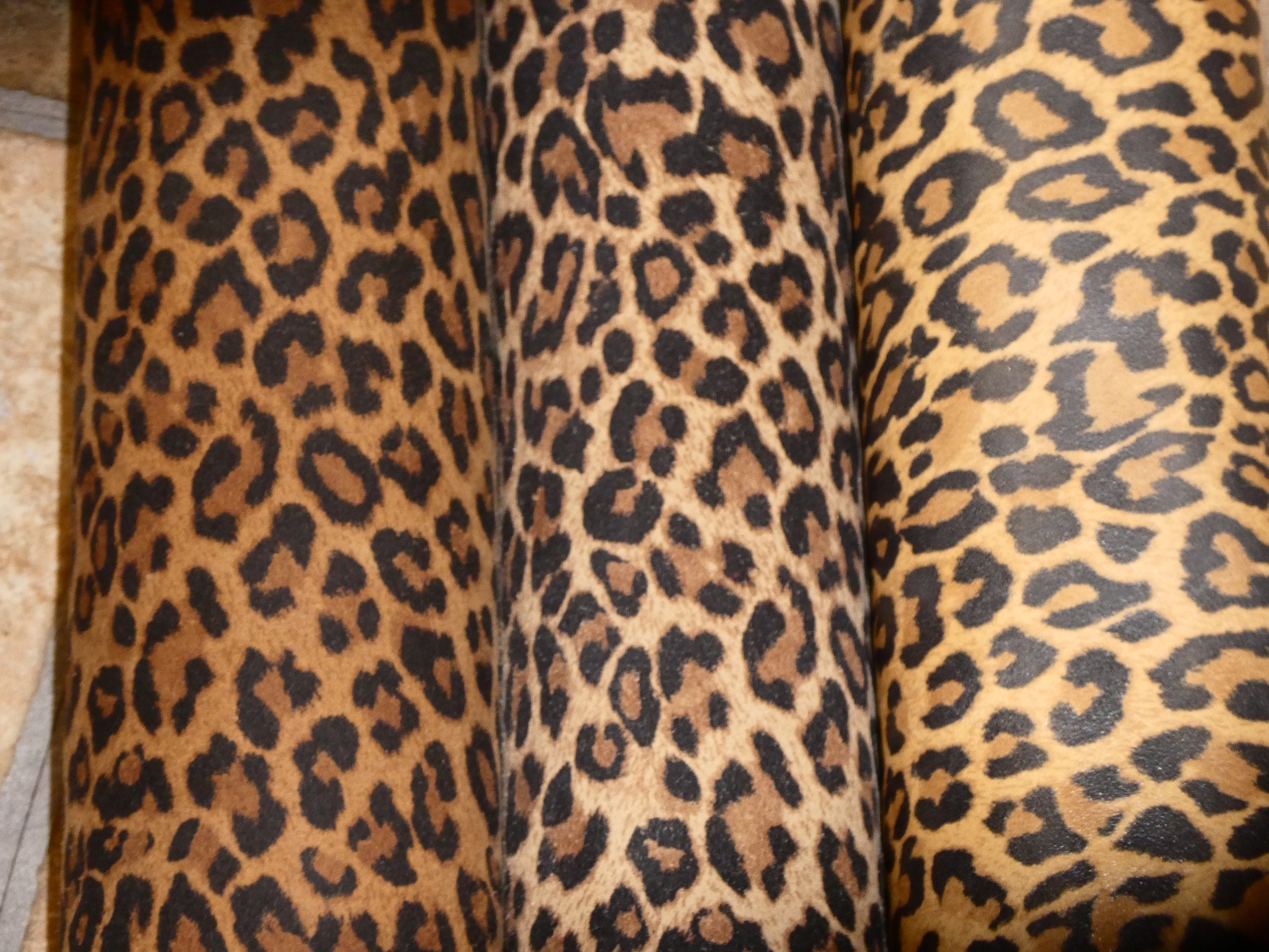 Leopard 8