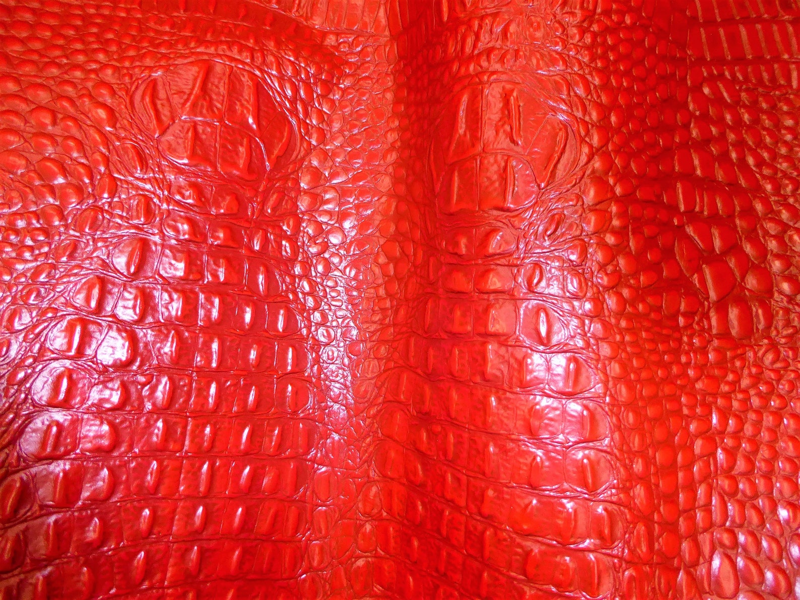 alligator and crocodile leather
