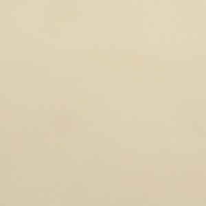 May include: A plain, off-white background.