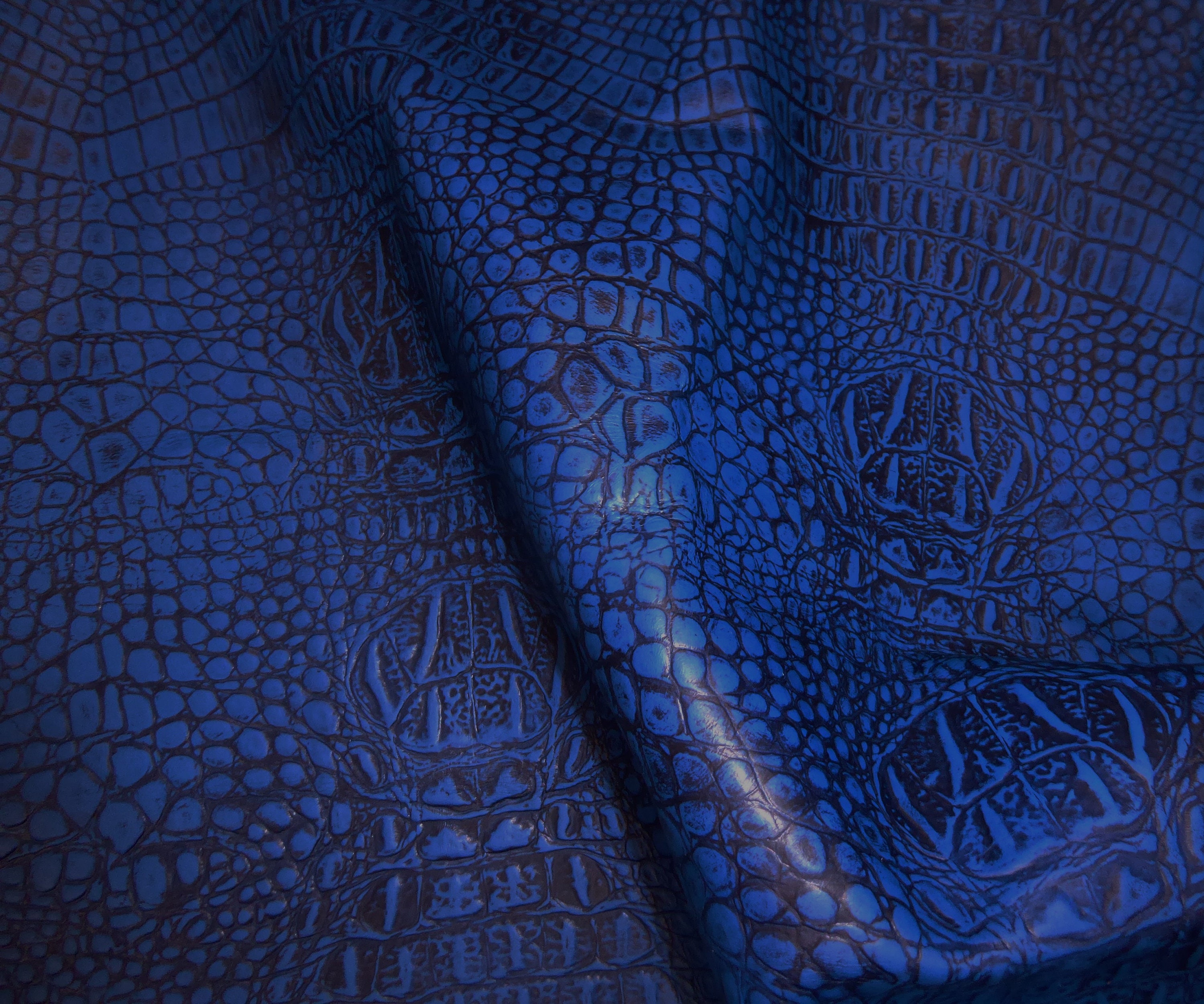 Limited ALLIGATOR 2 Pieces 4