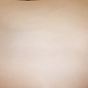 May include: A plain white background.