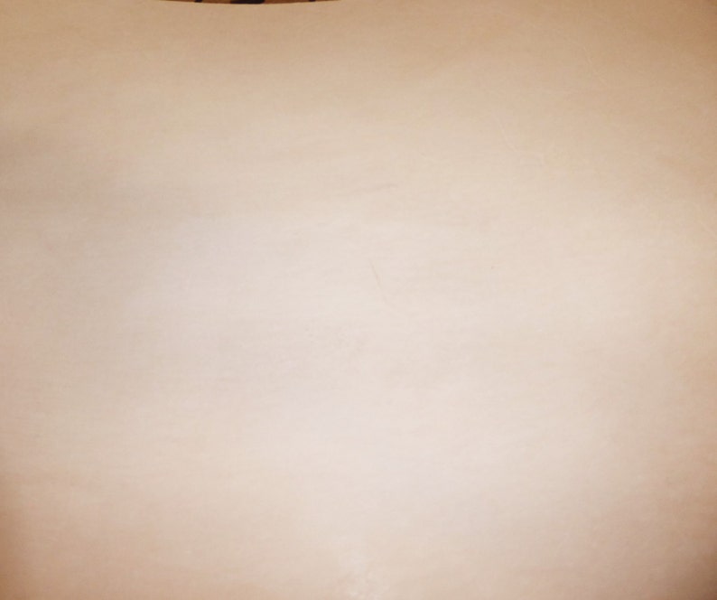 May include: A plain white background.