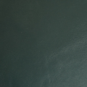 LAMBSKIN 8"x10" FOREST GREEN, Italian incredibly soft, fine grain, Smooth Leather  2.25 oz/0.9 mm PeggySueAlso E2805-20