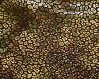 Leopard 3-4-5 or 6 sq ft GREEN Mosaic & GOLD Metallic Leopard on Chocolate Brown Suede Cowhide Leather 2.75-3 oz / 1.1-1.2 mm PSA E2550-119