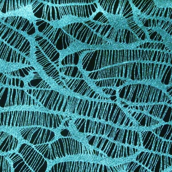 Leather 12"x12" Complex Spider Web TURQUOISE Metallic / Black Soft Suede Cowhide 3.5-3.75oz /1.4-1.5mm PeggySueAlso E3113-06