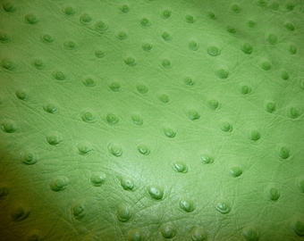 Limited Leather 8"x10" Ostrich LIME GREEN  Emu embossed Cowhide 2.5 oz / 1mm #118 PeggySueAlso® E2870-02