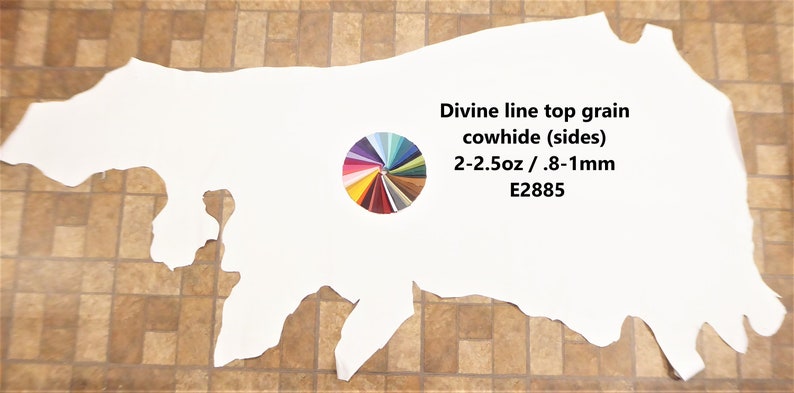 DIVINE 18-22 sq ft Hide Top Grain Choose your color Cowhide Leather Ships ROLLED 2-2.5oz/0.8-1 mm PeggySueAlso® E2885 image 1