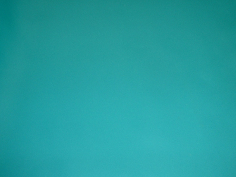 May include: A solid teal blue background.