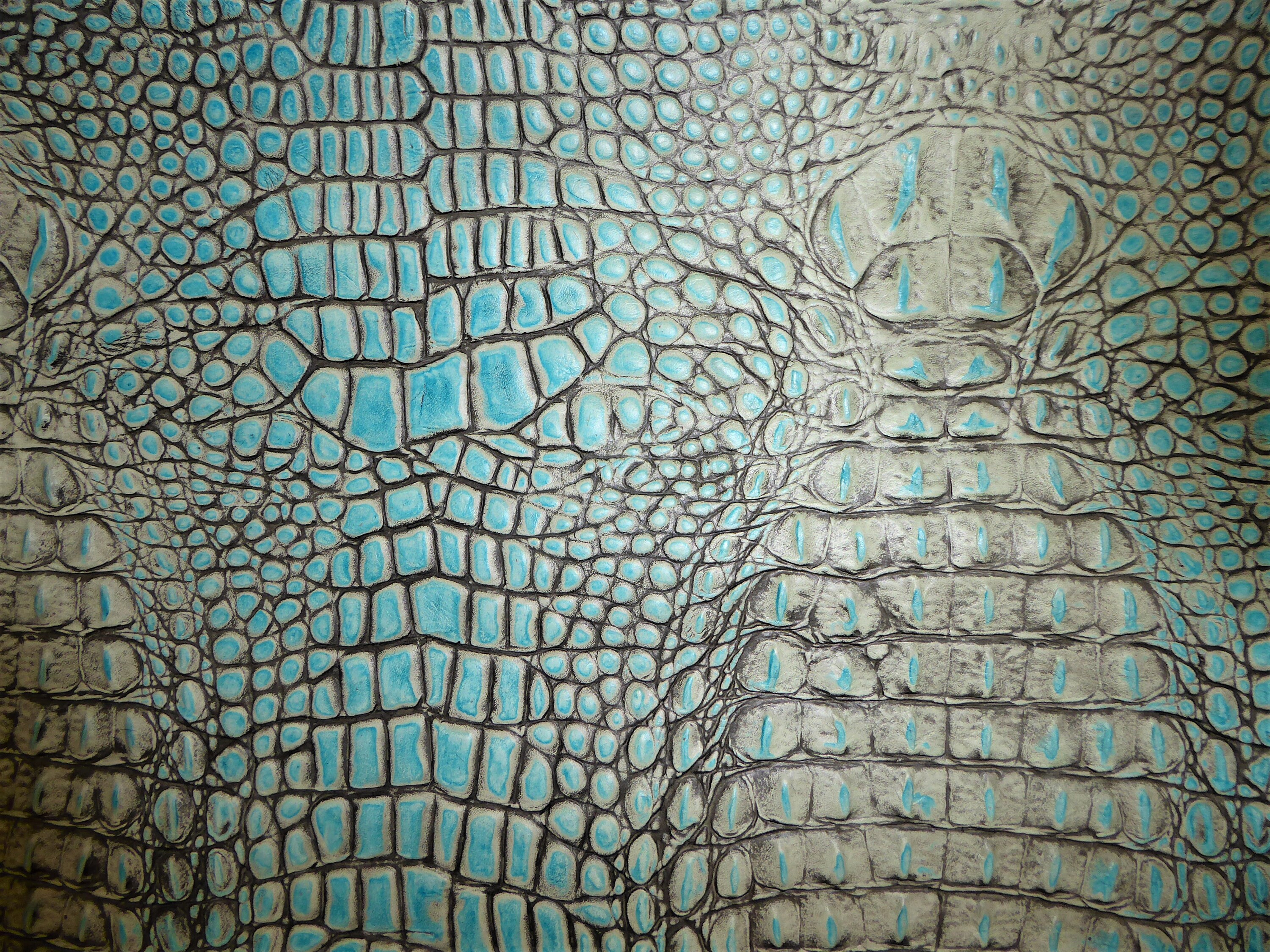 Leather NEW Texture 8x10 ALLIGATOR Turquoise with gray Croc Embossed