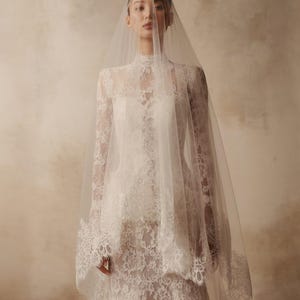 Peut inclure: Une robe longue en dentelle blanche avec un col montant et des manches longues, accompagn&eacute;e d'un voile en tulle l&eacute;ger et transparent qui retombe sur la t&ecirc;te et les &eacute;paules. Un motif floral complexe recouvre le corsage et les manches.