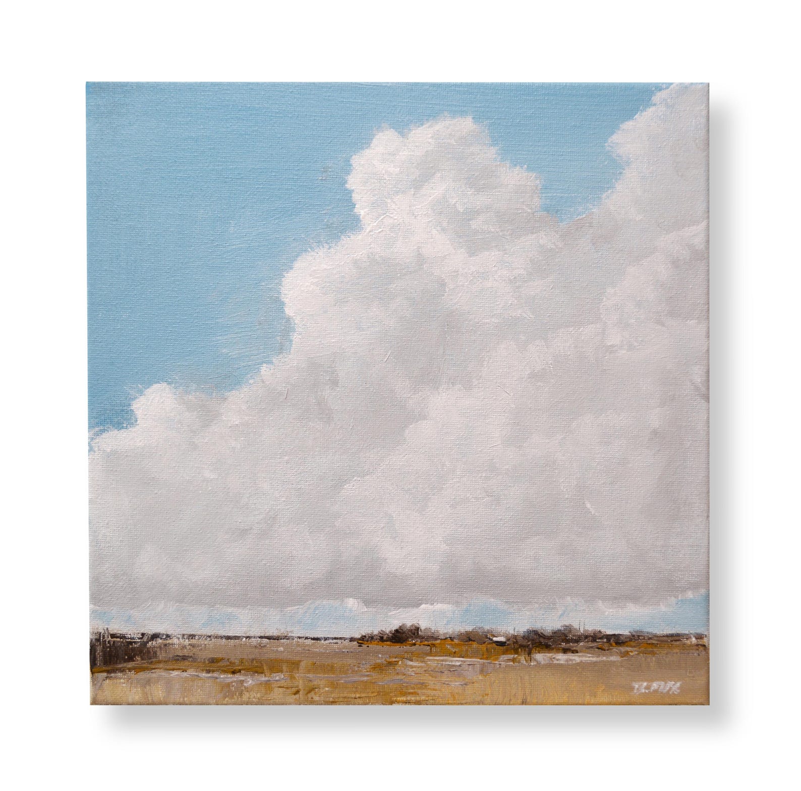 Original Cloud painting: 10x10 art on stretched canvas