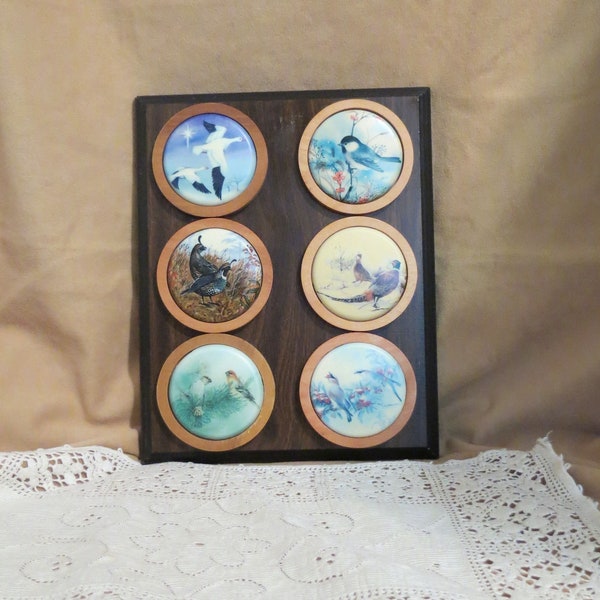 Vintage Wall Plaque Wild Bird Pictures The Award Company Of America