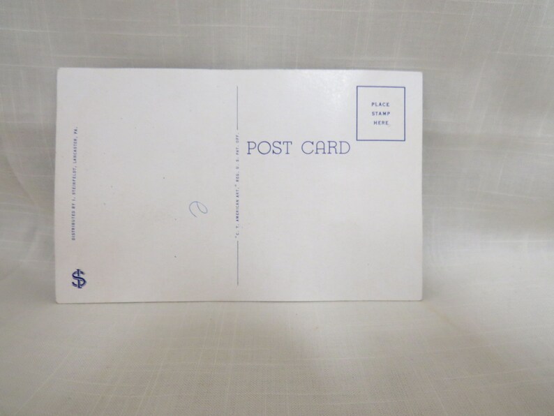 Vintage Postcard Amish Family Lancaster County Pennsylvania White Border Unused Unmailed Unposted