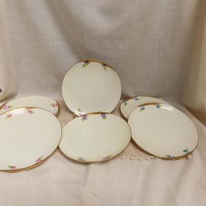 Antique China Painted Dessert Plates Hand Painted Porcelain Epiag Pirken Hammer Czechoslovakia Hand Painted In USA