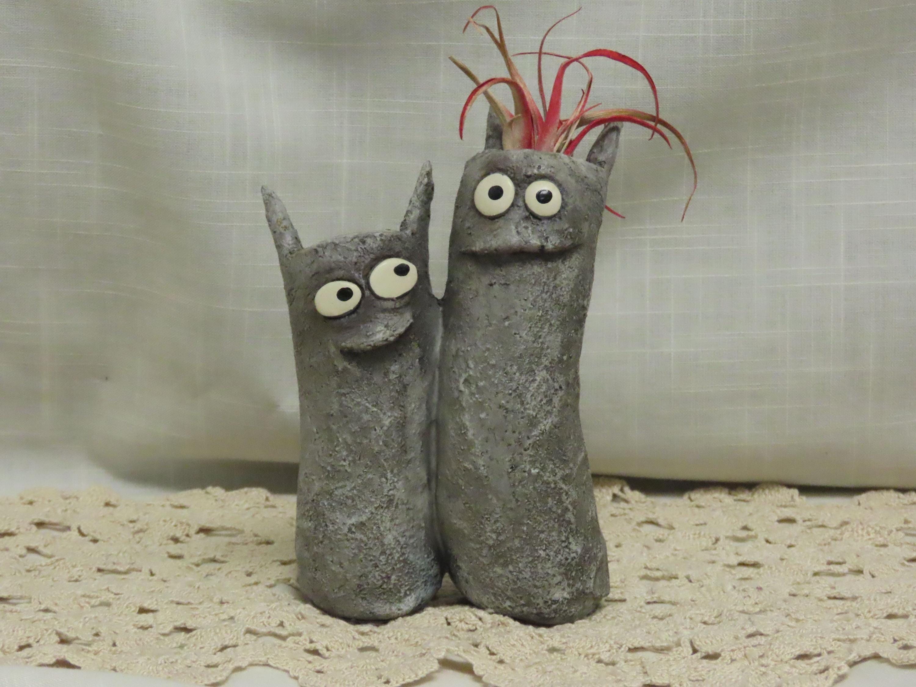 Cats Eyes Plants - Etsy