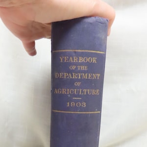 Antikes Jahrbuch des Landwirtschaftsamtes 1903 Buch