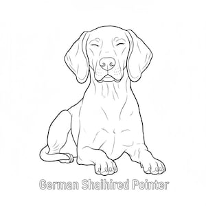 Op de afbeelding: Zwart-witte lijntekening van een Duitse Staande Hond, zittend met gesloten ogen. De afbeelding bevat de tekst "German Shai hired Pointer" onderaan, tegen een witte achtergrond.