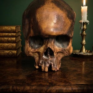 Human Skull Replica – Handcrafted & Hand Sculpted – Gothic Home Decor – Dark Academia – Cabinet of Curiosities – Oddities Art – Skull Gift