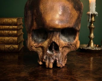 Replica van een menselijke schedel – Handgemaakt en met de hand gebeeldhouwd – Gotische woondecoratie – Dark Academia  – Schedelcadeau
