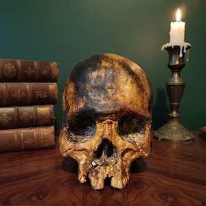 Réplica de cráneo humano – Hecha y esculpida a mano – Decoración gótica para el hogar – Estilo Dark Academia – Regalo de cráneo