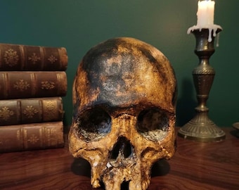 Replica di teschio umano – Realizzata e scolpita a mano – Decorazione gotica per la casa – Dark Academia – Regalo a forma di teschio