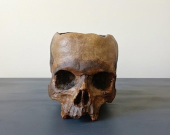 Réplica de cráneo humano – Hecha y esculpida a mano – Decoración gótica para el hogar – Estilo Dark Academia – Regalo de cráneo