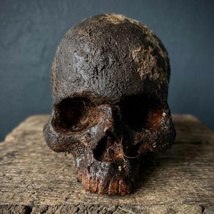 Realistic "archaeological" human skull