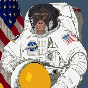 May include: Illustration of a chimpanzee in a white NASA spacesuit, holding a yellow helmet. The American flag is in the background. The spacesuit has the NASA logo and an American flag patch. The chimpanzee has a dark face and white beard.