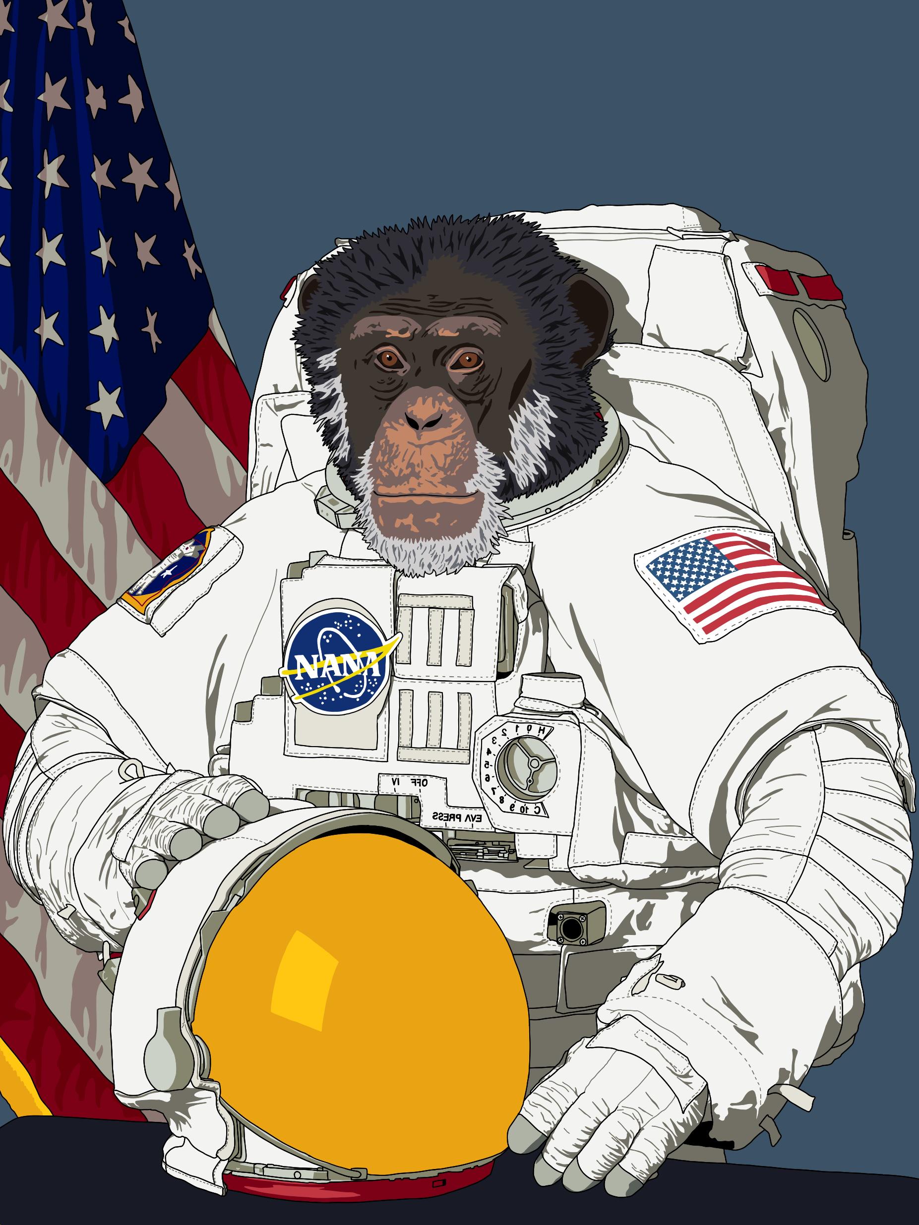 Astronaut Chimpanzee Print, NASA Space Suit Pop Art, Funny Monkey