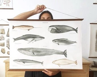 real Whales Poster Canvas - handmade vintage inspired illustration educational wall chart watercolor paint art print wall decor kids bedroom