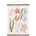 Seaweeds marine illustration Poster - cotton canvas handmade educational chart, red and pink botanical watercolor art print