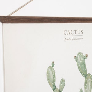 Cactus Opuntia Jamaicensis plante botanique aquarelle peinture art impression illustration décoration murale affiche CAC1001 image 3