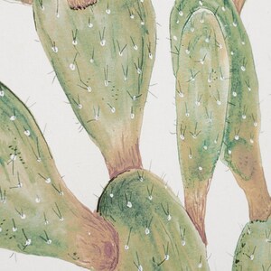 Cactus Opuntia Jamaicensis plante botanique aquarelle peinture art impression illustration décoration murale affiche CAC1001 image 4