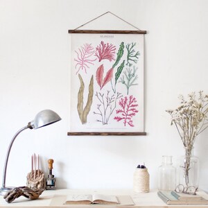 Seaweeds marine illustration Poster cotton canvas handmade educational chart, red and pink botanical watercolor art print image 3