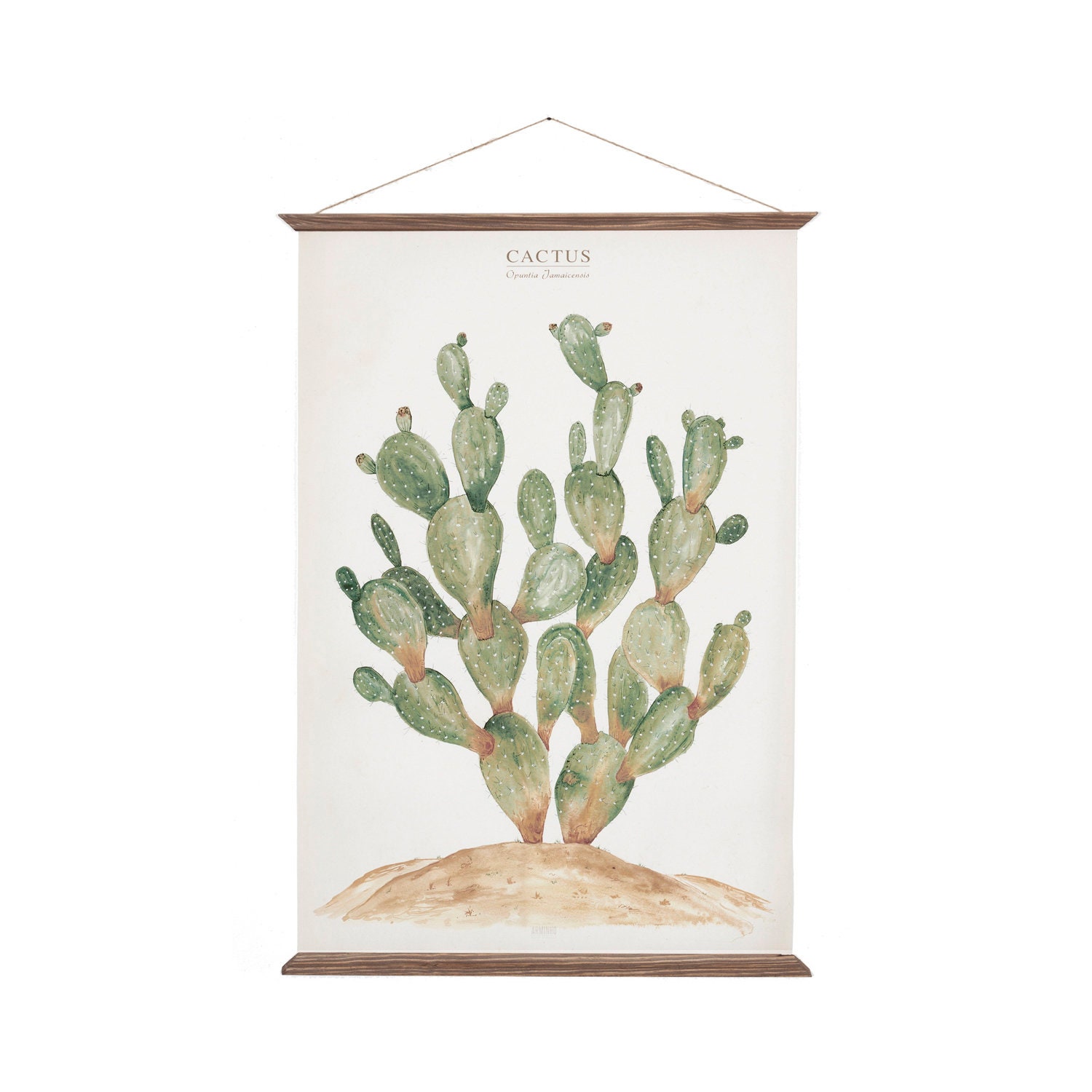 Cactus - Opuntia Jamaicensis Aquarelle Botanique Végétale Peinture Art Impression Illustration Décor