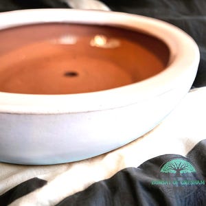 May include: A white ceramic bonsai pot with a light blue rim and a reddish-brown interior. The pot has a shallow, oval shape and a drainage hole in the center. The pot is sitting on a black and white patterned fabric.