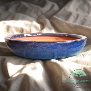 May include: A blue ceramic bonsai pot with a glossy finish. The oval-shaped pot has a dark blue exterior and a reddish-orange interior. The rim has a lighter blue and gold trim. The pot is designed for bonsai trees.