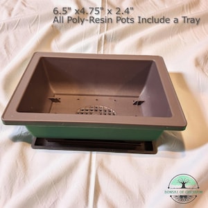 May include: A rectangular bonsai pot made of poly-resin, measuring 6.5" x 4.75" x 2.4". The pot has a dark gray interior and a green exterior with a black base. The text "All Poly-Resin Pots Include a Tray" is visible.