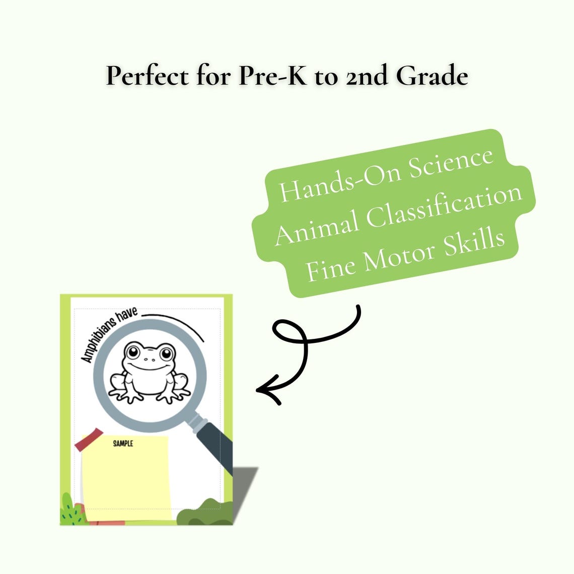 Meet the Vertebrates Science Booklet | Animal Classification Activity ...