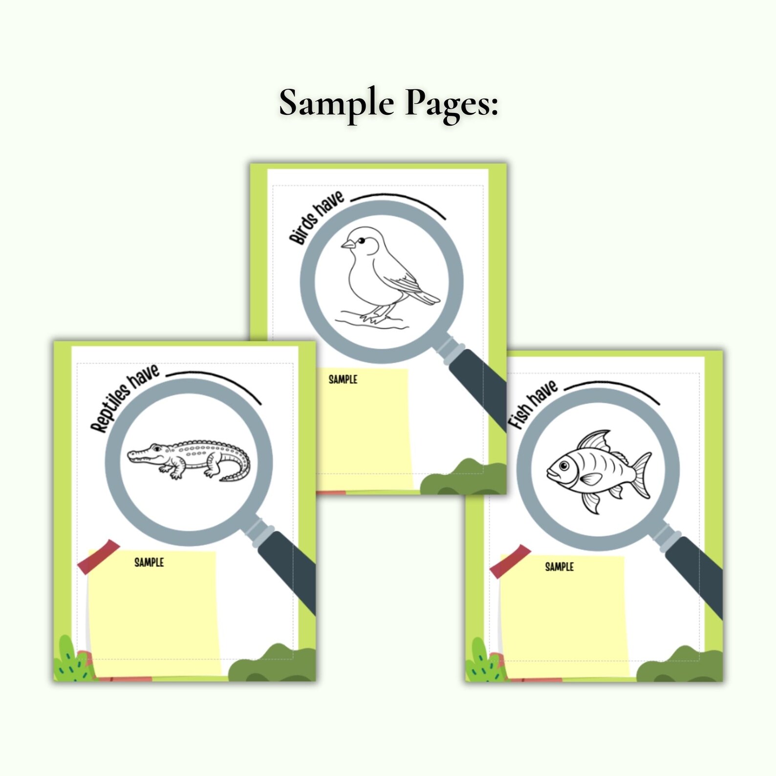 Meet the Vertebrates Science Booklet | Animal Classification Activity ...