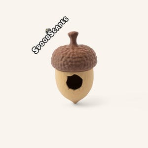 Könnte beinhalten: Eine braun-beige eichelförmige Struktur mit einer texturierten Kappe und einer glatten Basis, die eine kreisförmige Öffnung aufweist. Der Text SPOODSCAPES ist in Schwarz-Weiß in der oberen linken Ecke mit einem kleinen Spinnensymbol abgebildet.