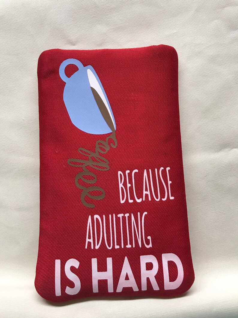 Eyeglass case padded