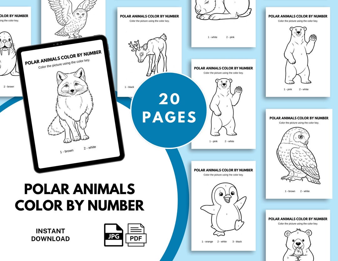 Polar Animals Color by Number Pages for Kids, Arctic Animals Coloring ...