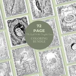 Wildlife Coloring Book Bundle, 6 Books, 72 Cottagecore Nature Habitat Printable Adult Coloring Pages PDF image 9