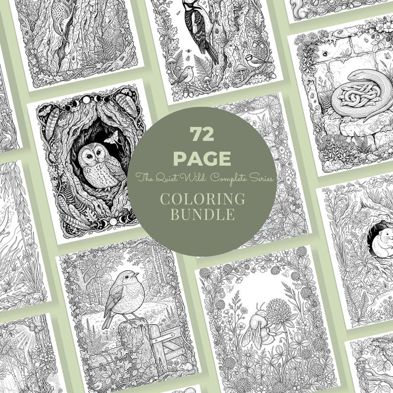 Wildlife Coloring Book Bundle, 6 Books, 72 Cottagecore Nature Habitat Printable Adult Coloring Pages PDF image 9