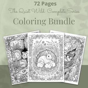 Wildlife Coloring Book Bundle, 6 Books, 72 Cottagecore Nature Habitat Printable Adult Coloring Pages PDF image 5