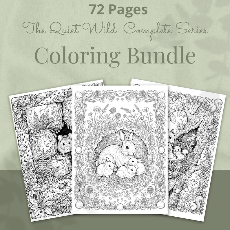 Wildlife Coloring Book Bundle, 6 Books, 72 Cottagecore Nature Habitat Printable Adult Coloring Pages PDF image 5